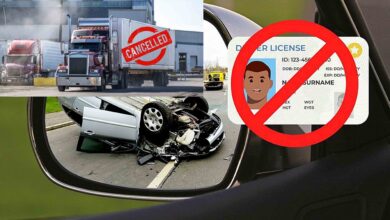 crackdown against immigrant drivers