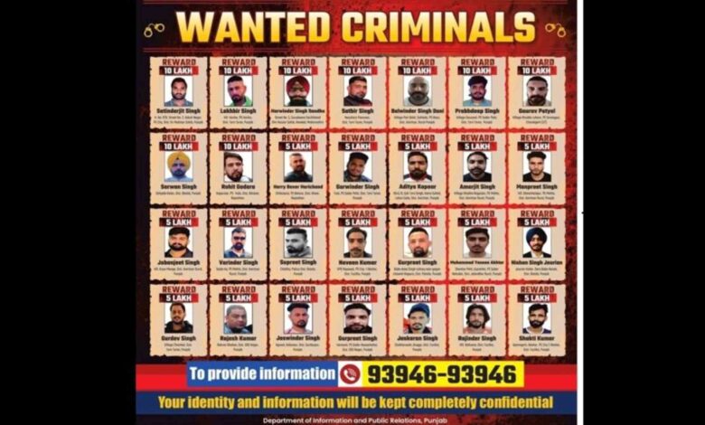 crackdown on organized crime,