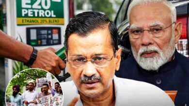 E20 Petrol Policy