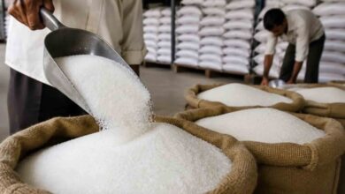 Rising Sugar Prices