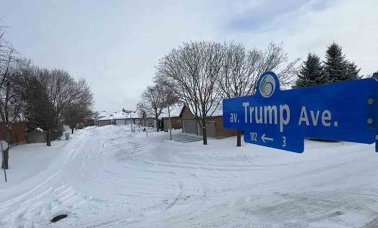 Trump Avenue