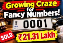 Fancy Number 0001 Auction Craze